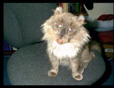 BooBoo's Page